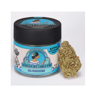 Sunbright gardens - SLUSHIES