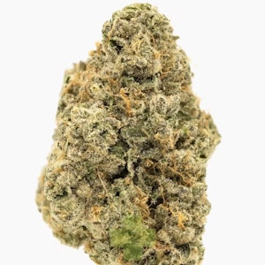Seed junky - GELLO SHOTZ 3.5G