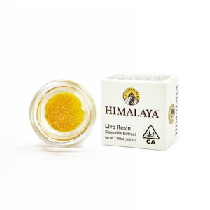 Himalaya - FORBIDDEN GAS TERP SUGAR