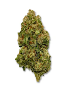 Plants - PLANTS X ARCANNA JEDI NIGHTS OG 1 OZ