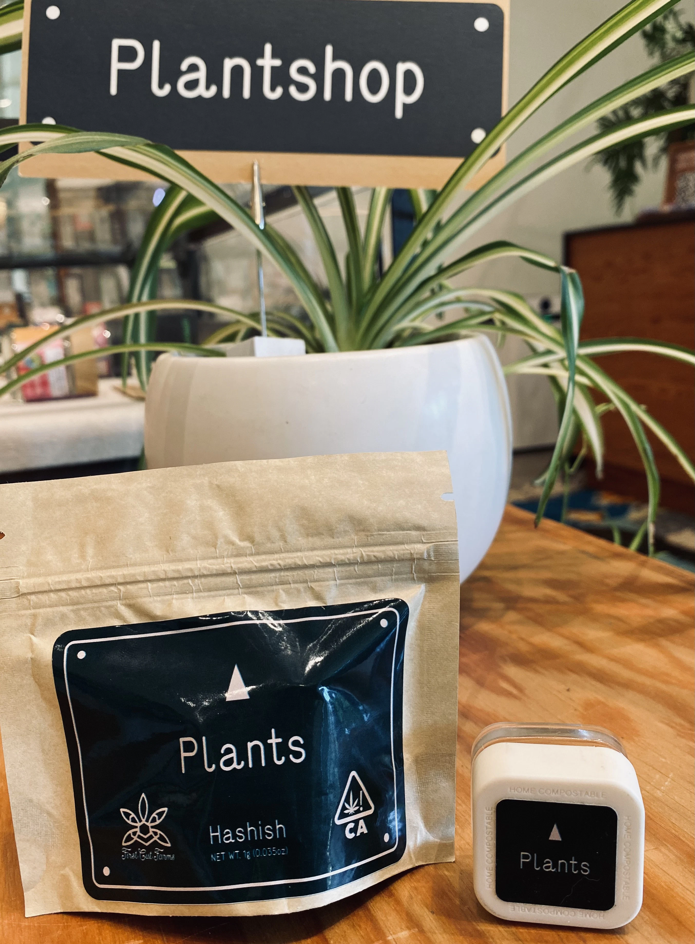 Plants - GOD'S BREATH Main Image