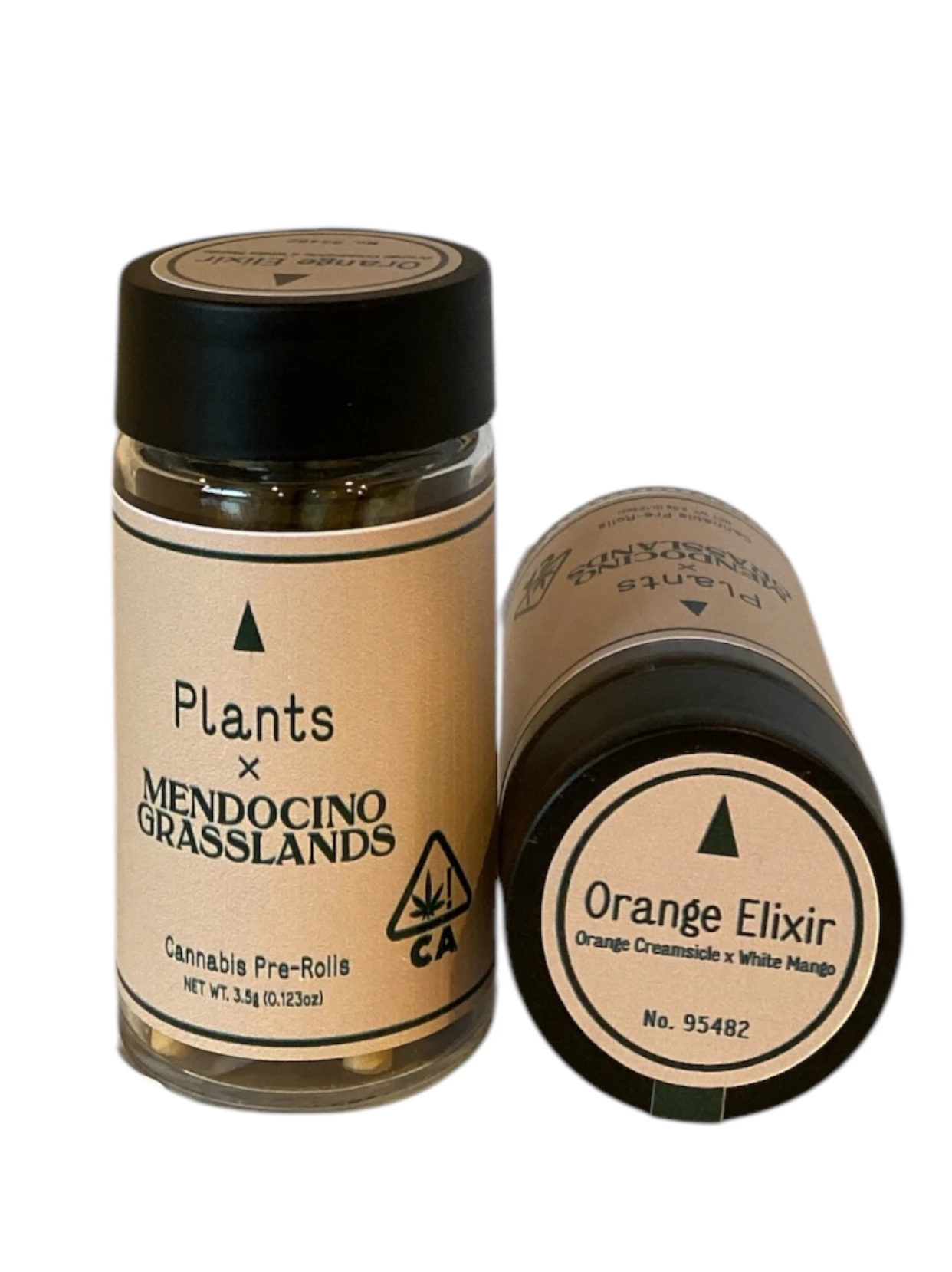 Plants - ORANGE ELIXIR 7PK PLANTS X MENDOCINO GRASSLANDS Main Image