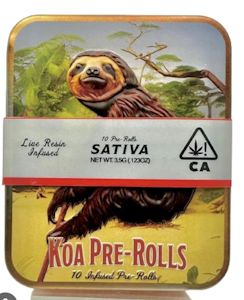 Koa - BLUE DREAM X PINNACLE LIVE RESIN INFUSED PREROLLS ( 10 PCK)