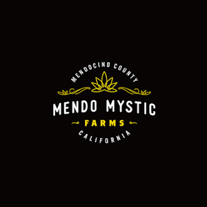 Mendo mystic - JACK MORMON