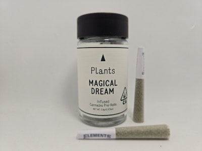Plants - PLANTS X ARCANNA MAGICAL DREAM 7PK PREROLL
