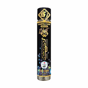 Sluggers hit - CHAMPELLI CHASIS