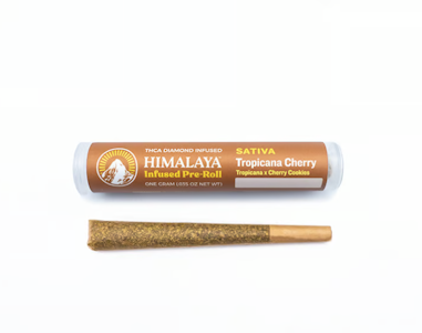 Himalaya - TROPICANA CHERRY