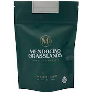 Mendocino grasslands - KEY LIME JACK