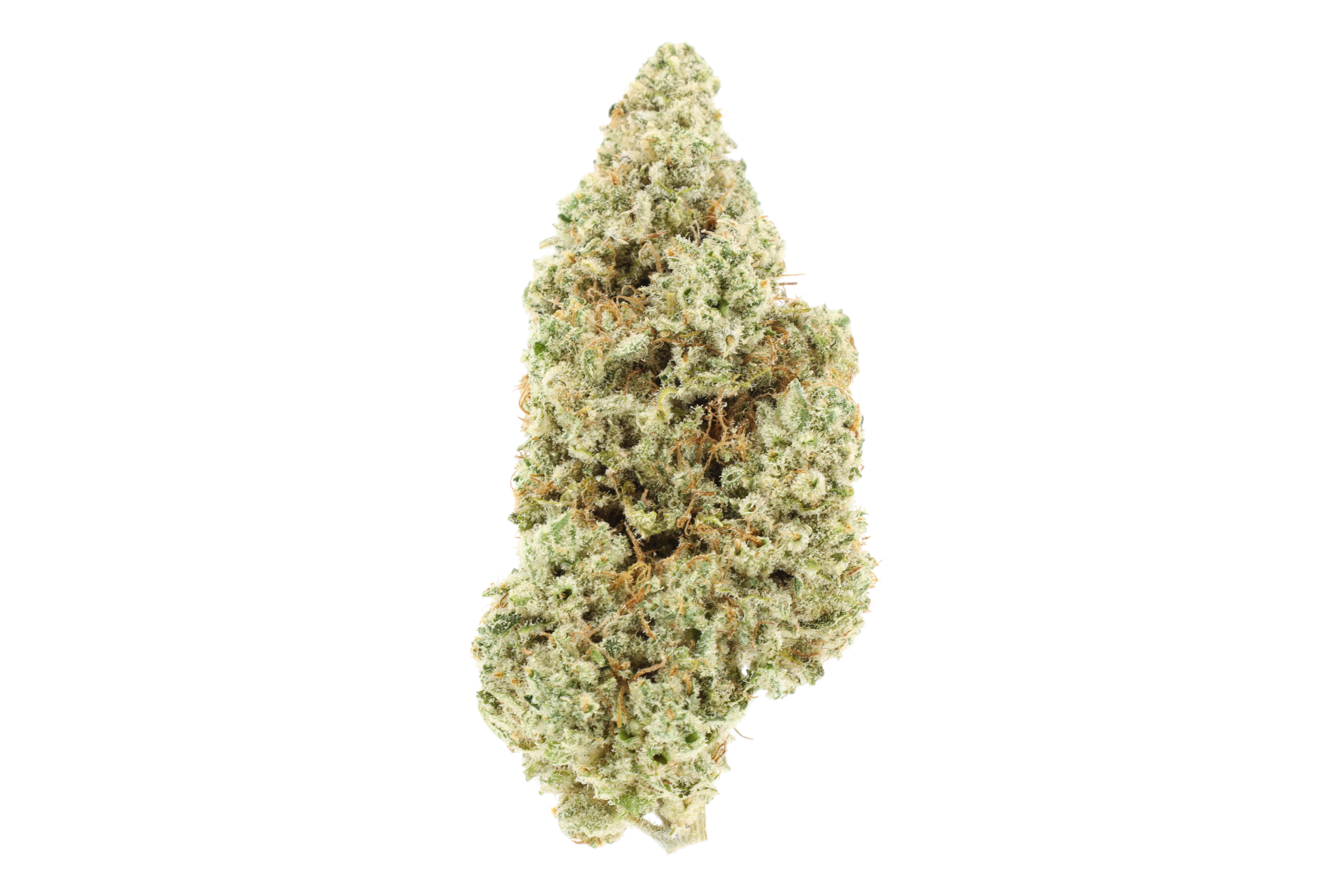 Upnorth - SUPER LEMON HAZE Main Image