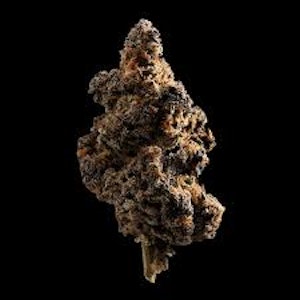Local nursery - PLUTO CLONE