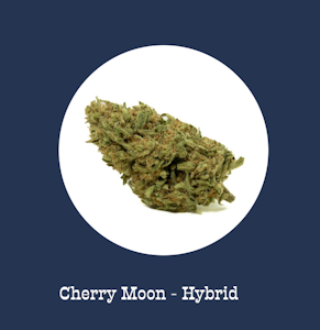Moon made - CHERRY MOON