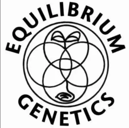 Equilibrium - HOLY GELATO Main Image