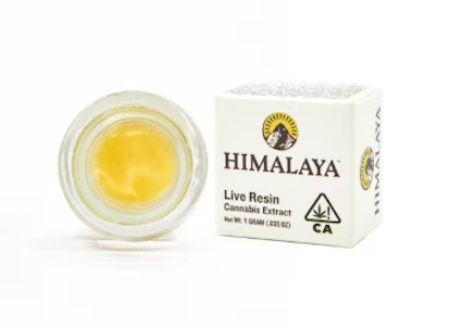 Himalaya - PURPLE DREAM