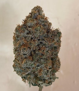 Prime cuts - CAKE MERA, SFV OG, MAC1, TREE FLIP, PURPLE PORCELAIN, PERMANENT CHIMERA