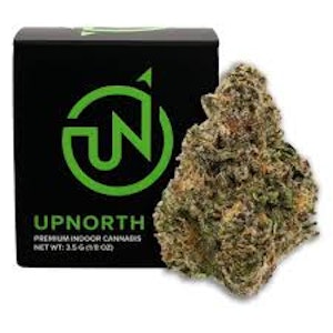Upnorth - TANGERINE SUNRISE