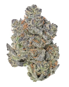 Wood wide - GORILLA BUTTER