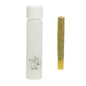 SB36 #1 CONE [1 G]