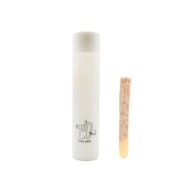 Z CONE [1 G]