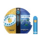 APPLES & BANANAS / HUCKLEBERRY GELATO DUAL CHAMBER ALL-IN-ONE PEN [1 G]