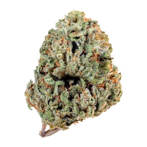 Sunbright gardens - MENDO GAS FRUITY FUNK