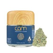 CAM - FLOWER - SATIVA - JACK HERER - 3.5G