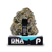 PLUGPLAY - POD - INDICA - SUGAR DADDY PURPLE - 1G