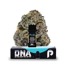 Plugplay - PLUGPLAY - POD - INDICA - SUGAR DADDY PURPLE - 1G Main Image