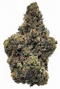 SEVEN LEAVES - FLOWER - HYBRID - CARIBBEAN BREEZE - 3.5G
