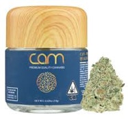 CAM - FLOWER - INDICA HYBRID - BIZZCOTTI - 3.5G