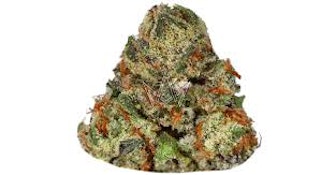 CAM - FLOWER - INDICA - KOSHER KUSH - 3.5G