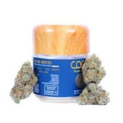 CAM - FLOWER - HYBRID INDICA - KUSH MINTS  - 3.5G