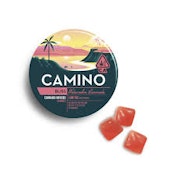 CAMINO - EDIBLE - HYBRID - WATERMELON LEMONADE - 100MG