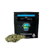 GLASS HOUSE - FLOWER - HYBRID - GG4 - 14G