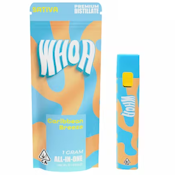 WHOA - DISPOSABLE - SATIVA - CARIBBEAN BREEZE - 1G