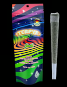 TERPY'S - INFUSED PREROLL - DIAMONDS - SATIVA - JACK - 1G