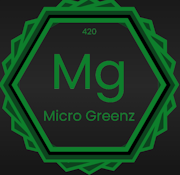 MICRO GREENZ - INDOOR FLOWER - HYBRID - GHOST OG X GARLIC MINTS - 3.5G