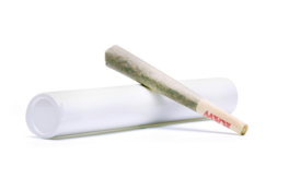 DOVETAIL - PREROLL - HYBRID - GOVERNMINT OASIS - 1G