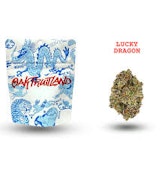 OAKFRUITLAND - FLOWER - HYBRID - LUCKY DRAGON - 3.5G