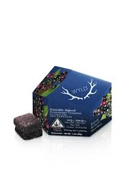 Wyld - WYLD - EDIBLE - SLEEP - ELDERBERRY - 2:1 THC:CBN - 100MG Main Image