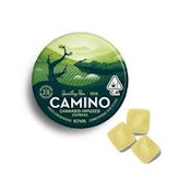 CAMINO - EDIBLE - GUMMIES - SOCIAL - SPARKLING PEAR - 2:6