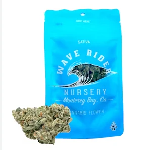 Wave rider - WAVE RIDER - FLOWER - SATIVA - ORANGE KRUSH - 7G Main Image