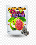 OAKFRUITLAND - FLOWER - HYBRID - GUAVA JELLY - 3.5G
