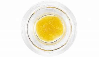 Bear labs - BEAR LABS - CONCENTRATE - BUDDER - HYBRID - COOKIES N CREAM - 1G Main Image