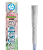 ICED - INFUSED PREROLL PACK - INDICA HYBRID - WATERMELON Z - .5G  - (5PK)