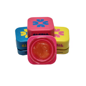 Casual - PAYTON ON THE RITZ | BADDER | 1G