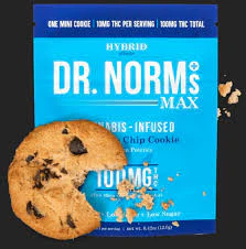 Dr norms - DR. NORM'S- 100MG MAX CHOCOLATE CHIP COOKIE Main Image