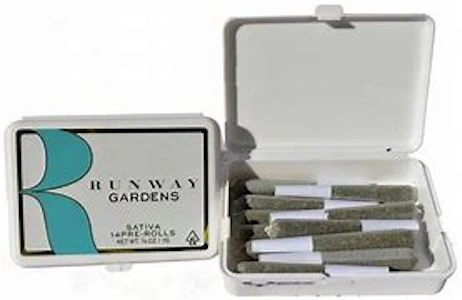 Runway gardens - RUNWAY GARDENS | DURBAN POISON 14PK