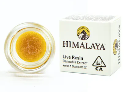 Himalaya - CHERRY STOUT 1G