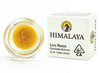 Himalaya - CHERRY STOUT 1G Main Image