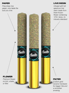 Jeeter - JEETER | CHERRY KUSH-BABY CANNON 1.3G